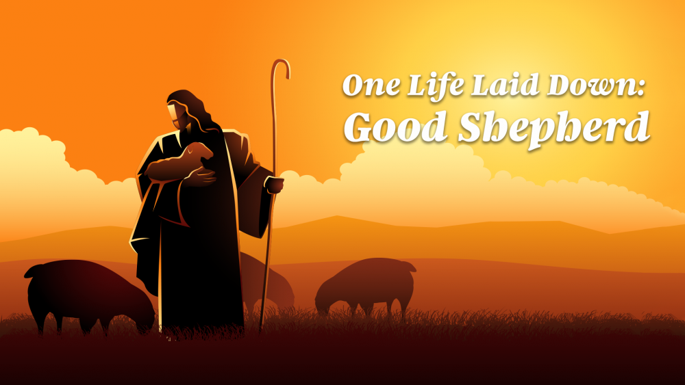 One Life Laid Down: Good Shepherd