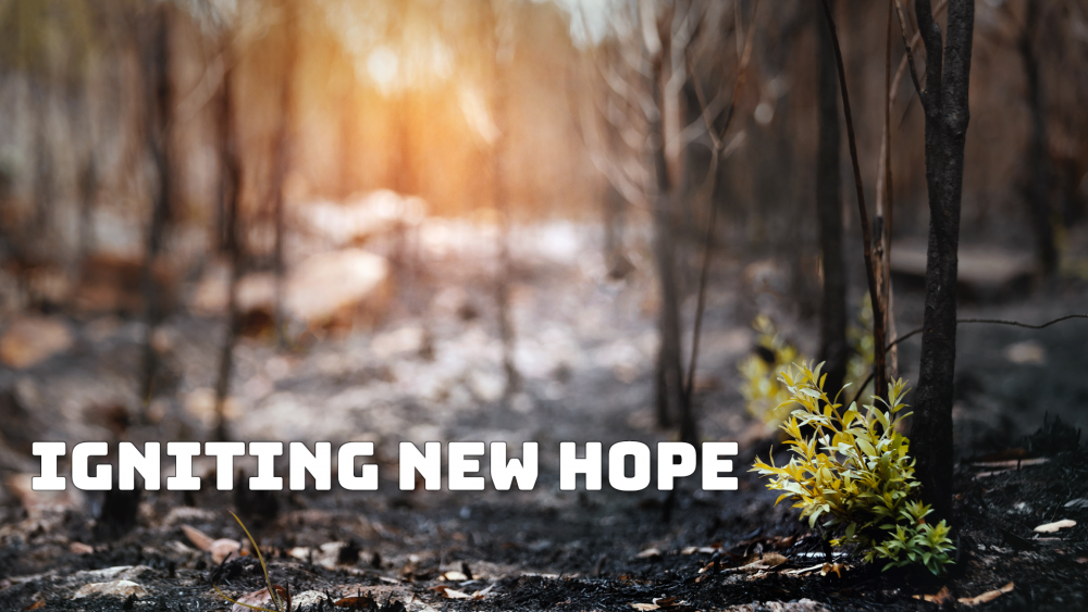 Igniting New Hope